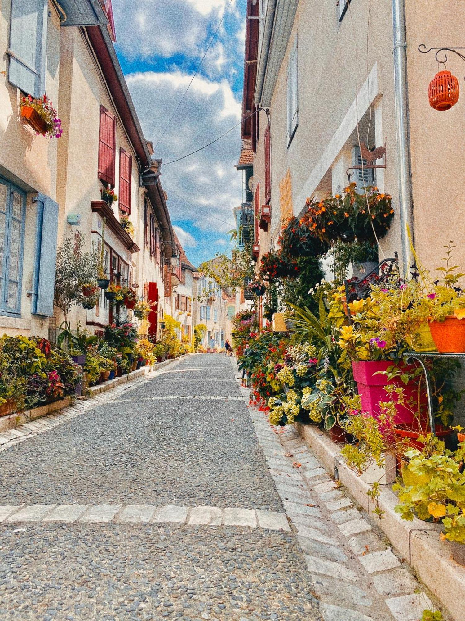 Agreable Petit Gite Avec Piscine Et Jardinet Salies-de-Béarn Kültér fotó