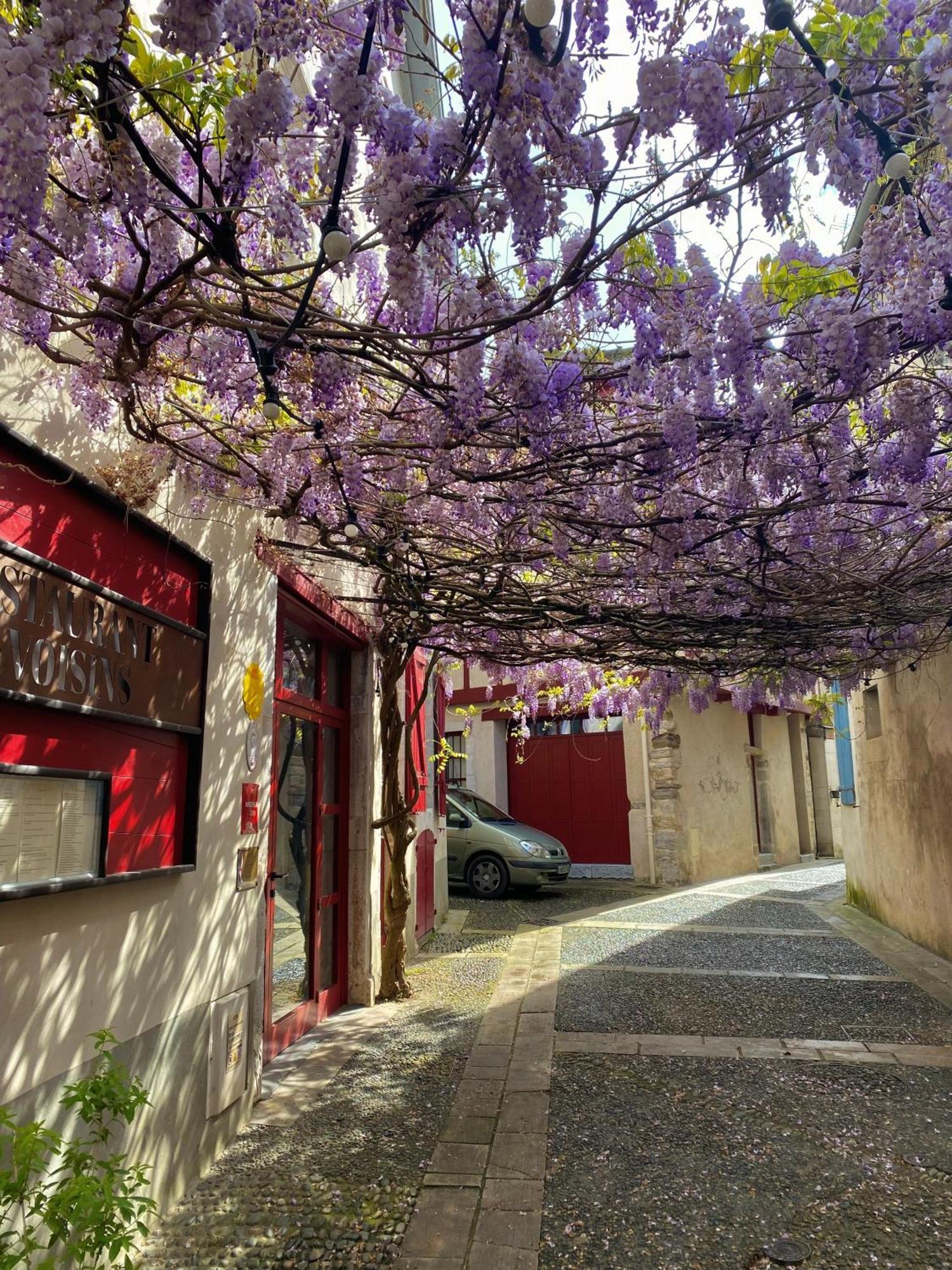Agreable Petit Gite Avec Piscine Et Jardinet Salies-de-Béarn Kültér fotó